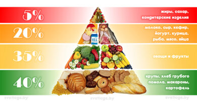 svetlcge.by Пирамида здорового питания
