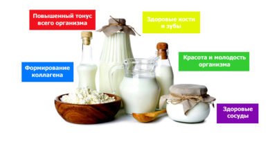 svetlcge.by молоко и молочные продукты