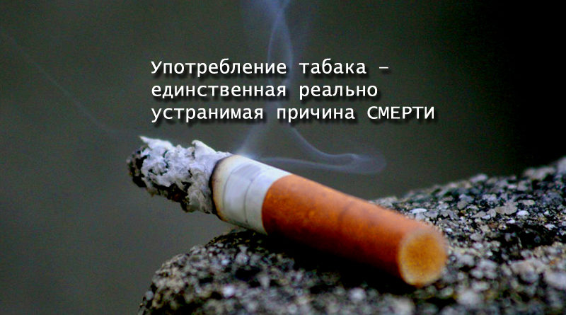 svetlcge.by курение