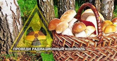 Радиационный контроль грибов