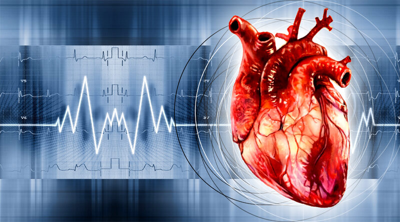 Профилактика болезней сердца