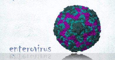 энтеровирус