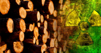 радиационный древесины